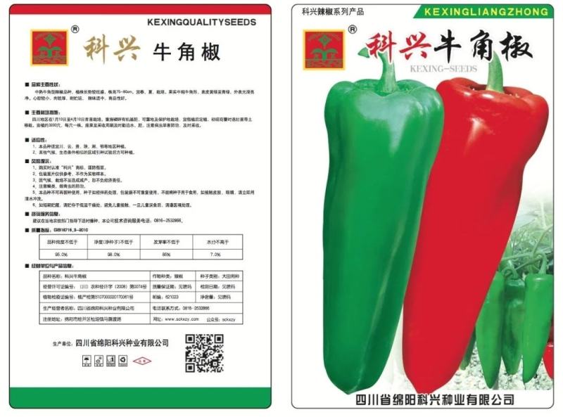 【厂家直销】辣椒种子大牛角椒种子青红两用辣椒种子