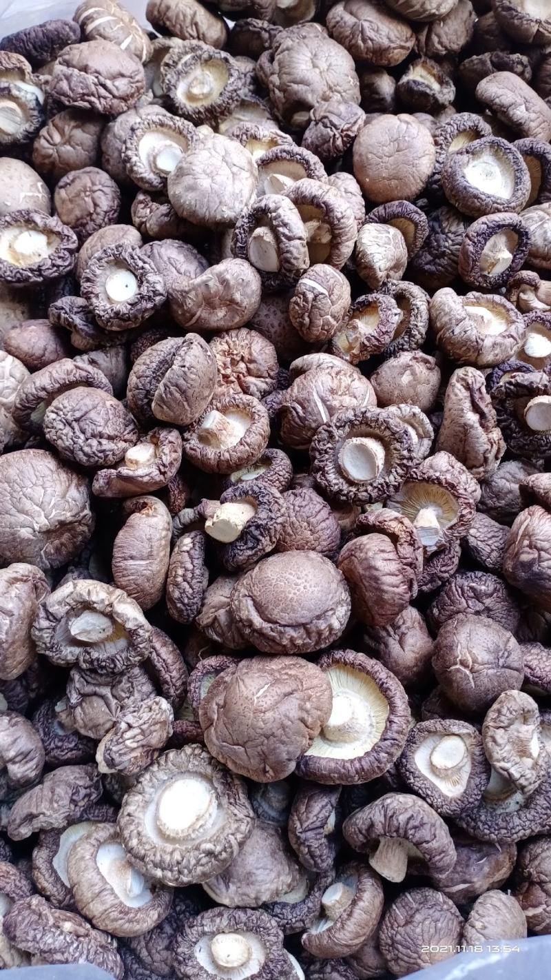 推荐【干香菇产地批发】精选各规格大中小优质秋冬厚菇香味浓