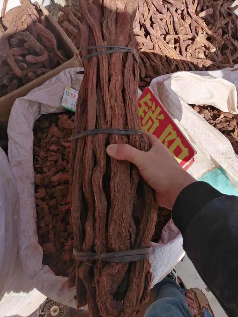 产地直供【精选推荐锁阳条实拍图不满意你找我泡水泡酒