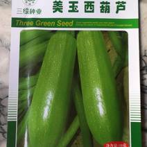 美玉西葫芦种子，早熟耐低温，易坐瓜，瓜色嫩绿亮丽抗病毒l