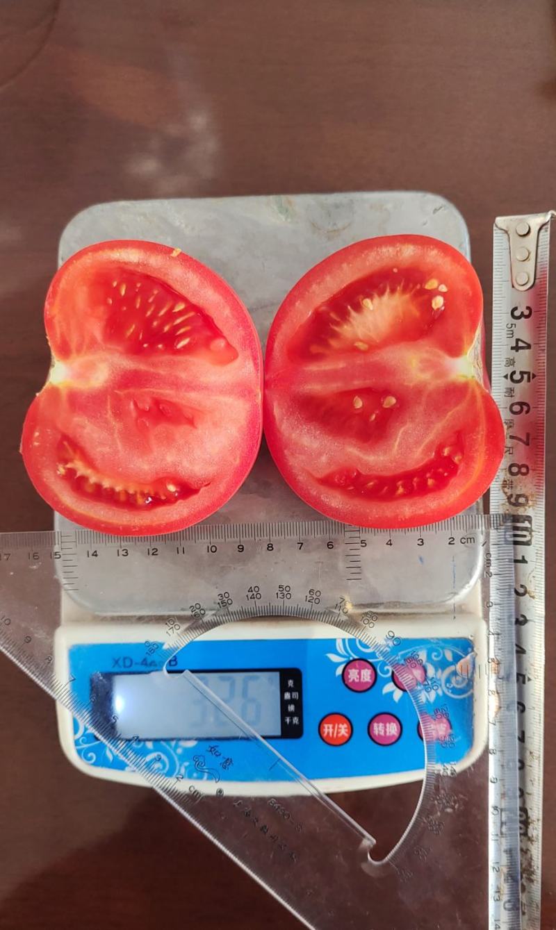 硬粉西红柿种子，越夏秋延越冬大棚栽培，粉红大果，抗病高产