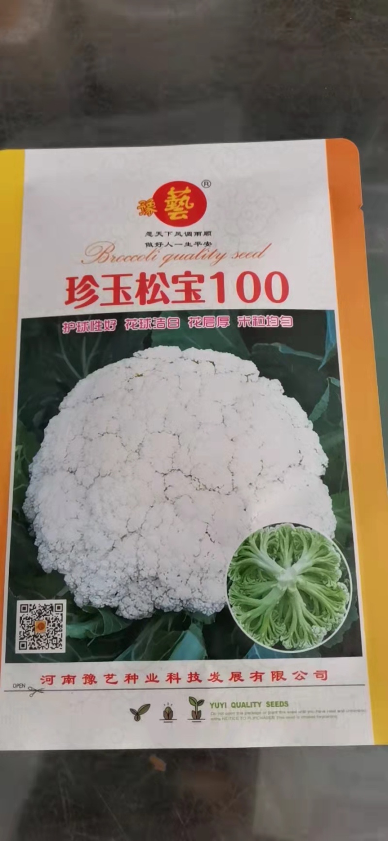 珍玉松宝100青梗松花菜种子2.5㎏花球洁白浅绿梗