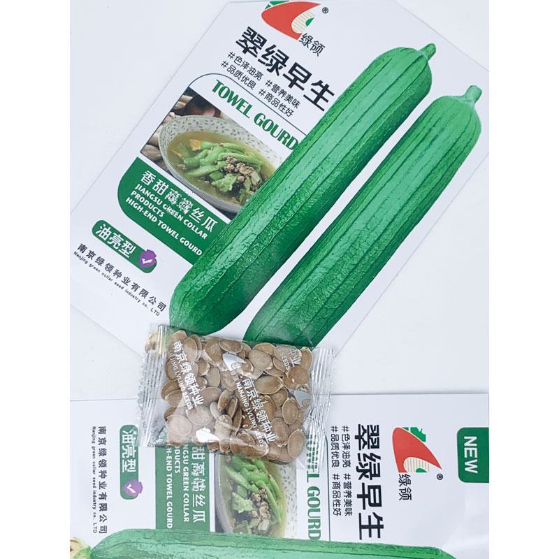 短棒油皮丝瓜种子早熟高产水瓜种子10克原装发货