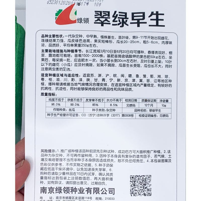 短棒油皮丝瓜种子早熟高产水瓜种子10克原装发货