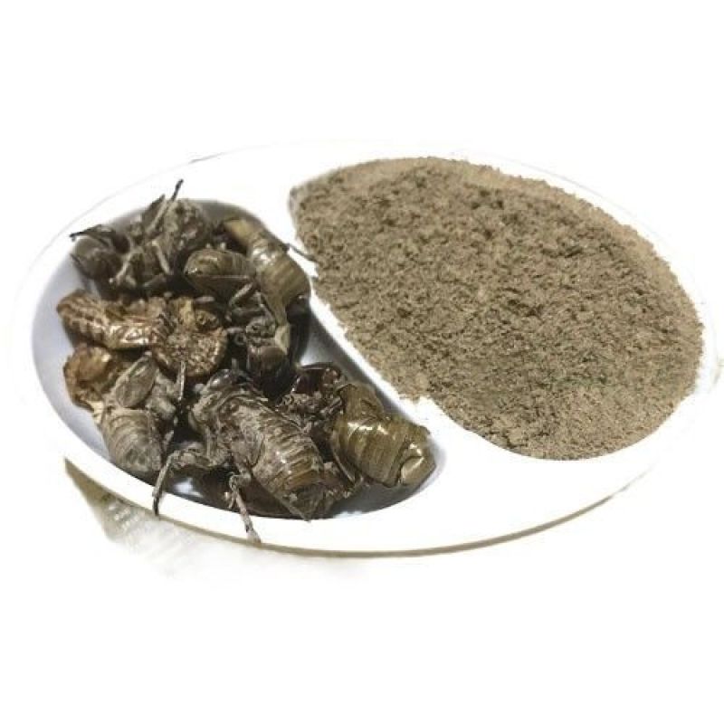 蝉蜕粉破壁超细粉高品质蝉壳蝉衣粉知了壳爬拉猴皮虫蜕中药材