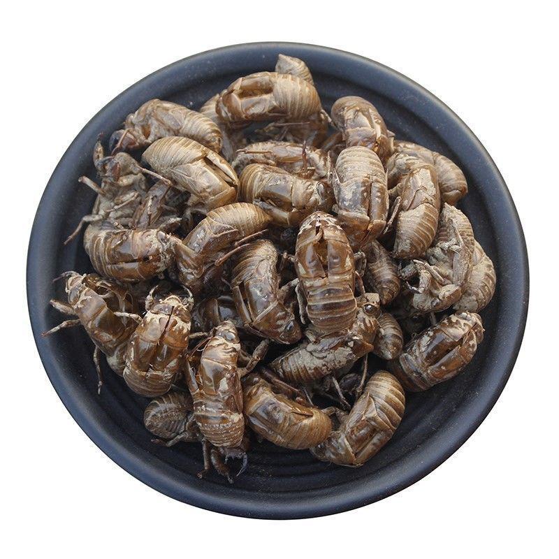 蝉蜕粉破壁超细粉高品质蝉壳蝉衣粉知了壳爬拉猴皮虫蜕中药材