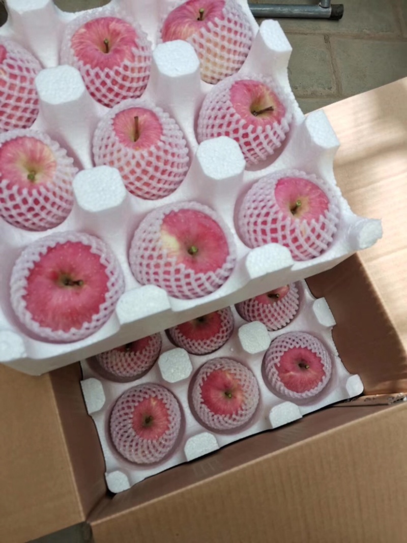 黄土高原有机苹果.自产自销.品质保证.价格优惠.