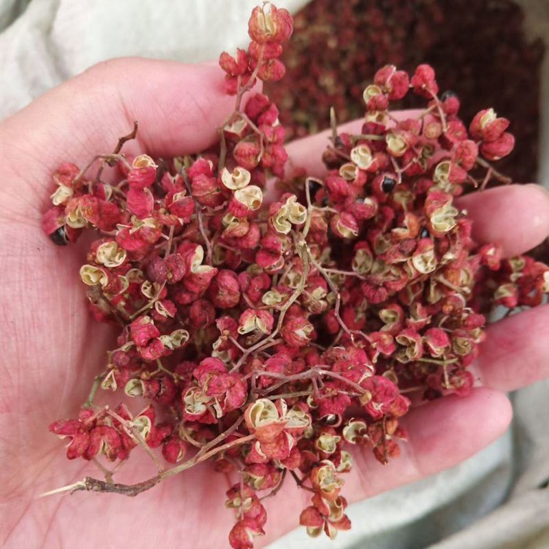 四川花椒粉家用特麻高品质超细破壁纯粉特级特细食用药用商用