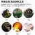 金骏眉金俊眉小包装500克小包装