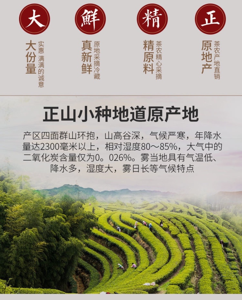 正山小种批发价格小包装500克