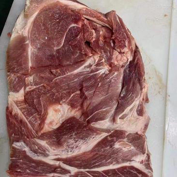 猪前上肉，一手货源新鲜好肉，常年有货大块肉