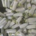 西葫芦大量上市中，有需要的老板联系