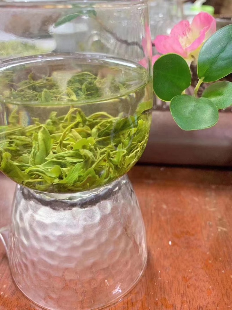 批发绿茶明前新茶春茶罐装500克