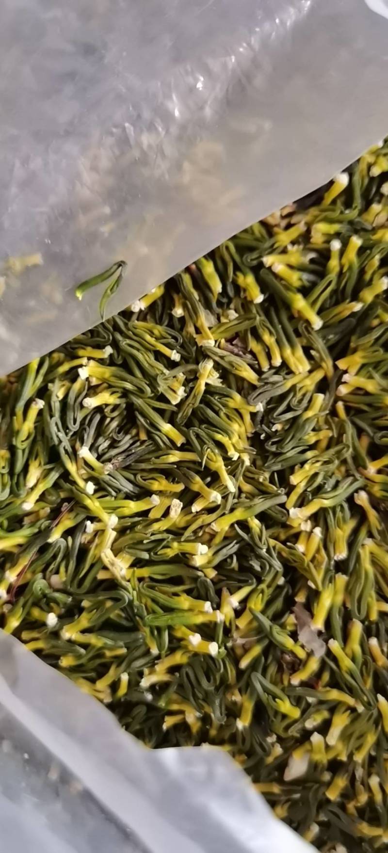 广昌莲芯