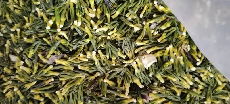 广昌莲芯
