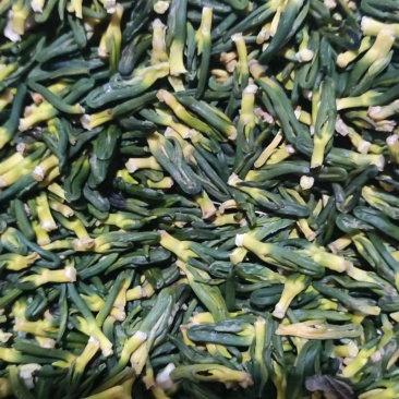 广昌莲芯