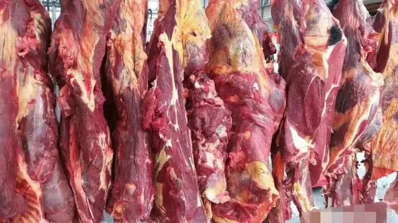 新鲜牦牛肉(全国包邮)
