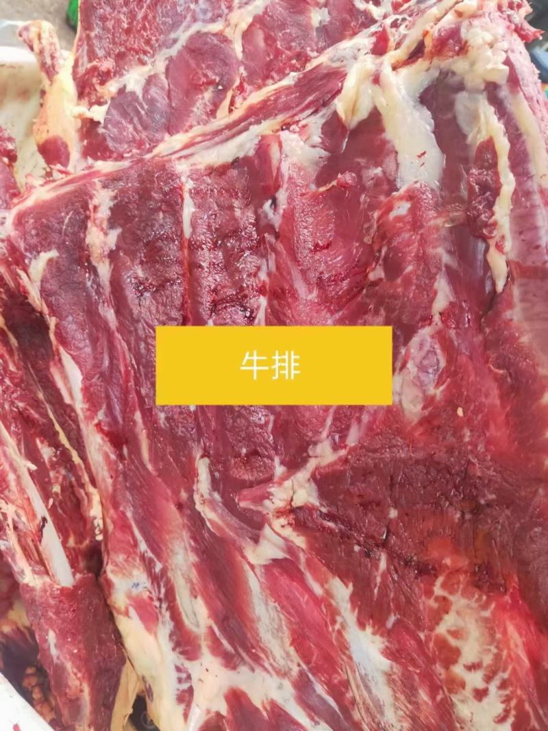 新鲜牦牛肉(全国包邮)