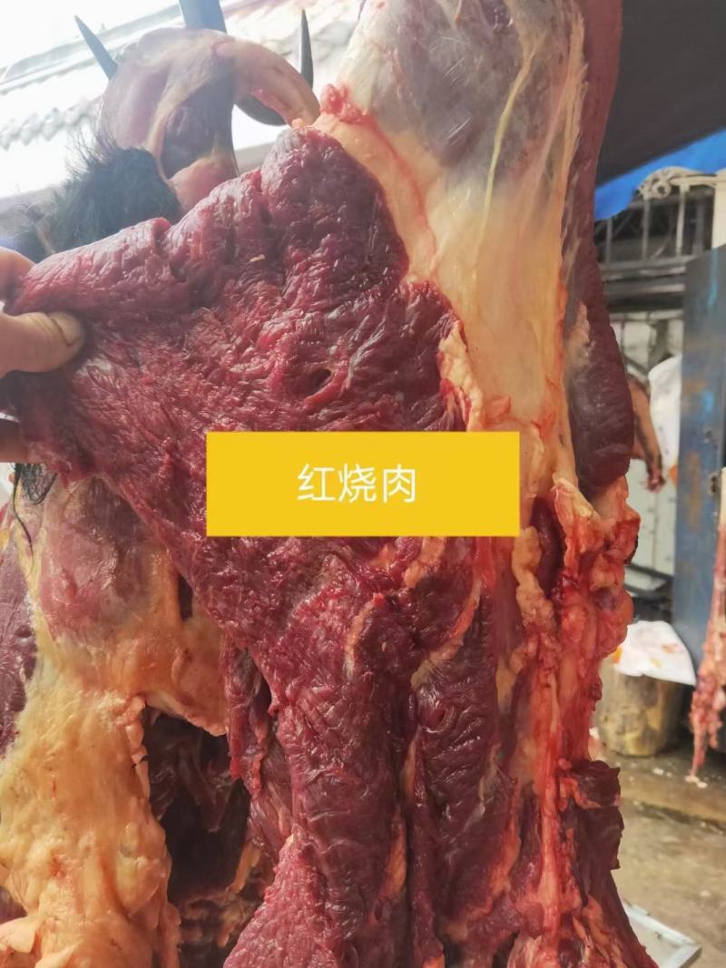 新鲜牦牛肉(全国包邮)