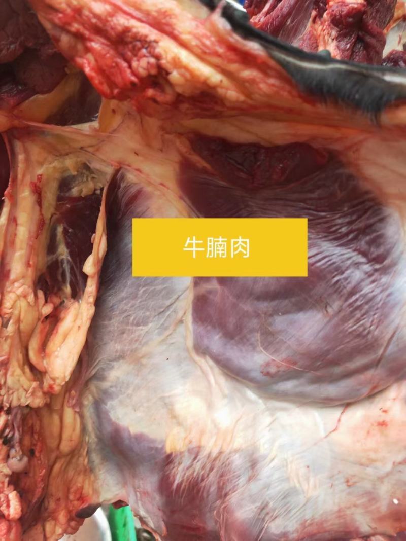 新鲜牦牛肉(全国包邮)