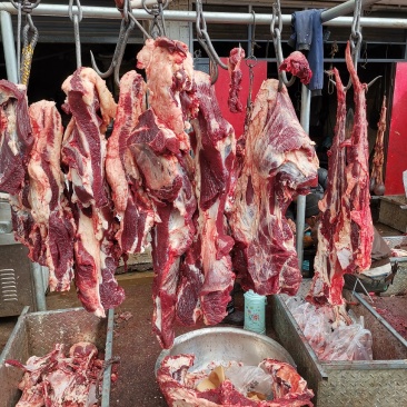 新鲜牦牛肉(全国包邮)