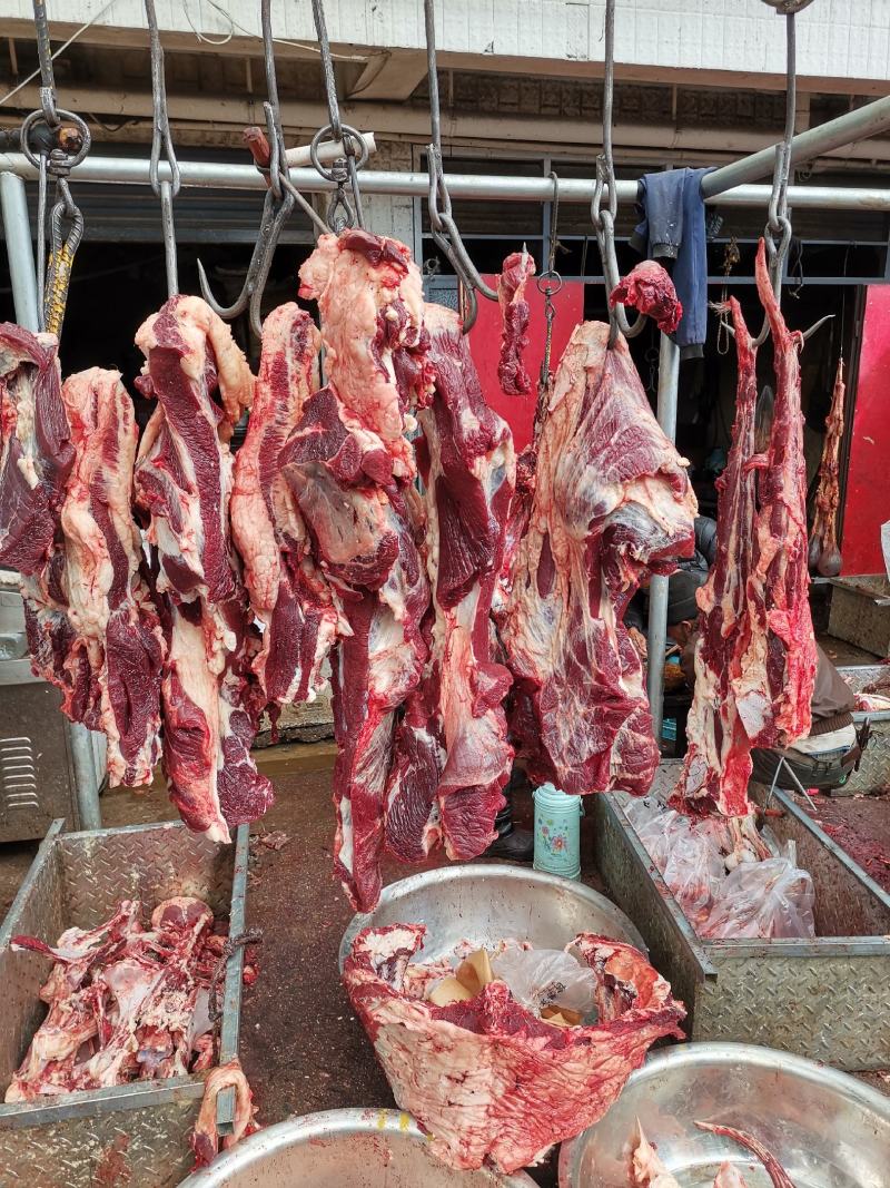新鲜牦牛肉(全国包邮)
