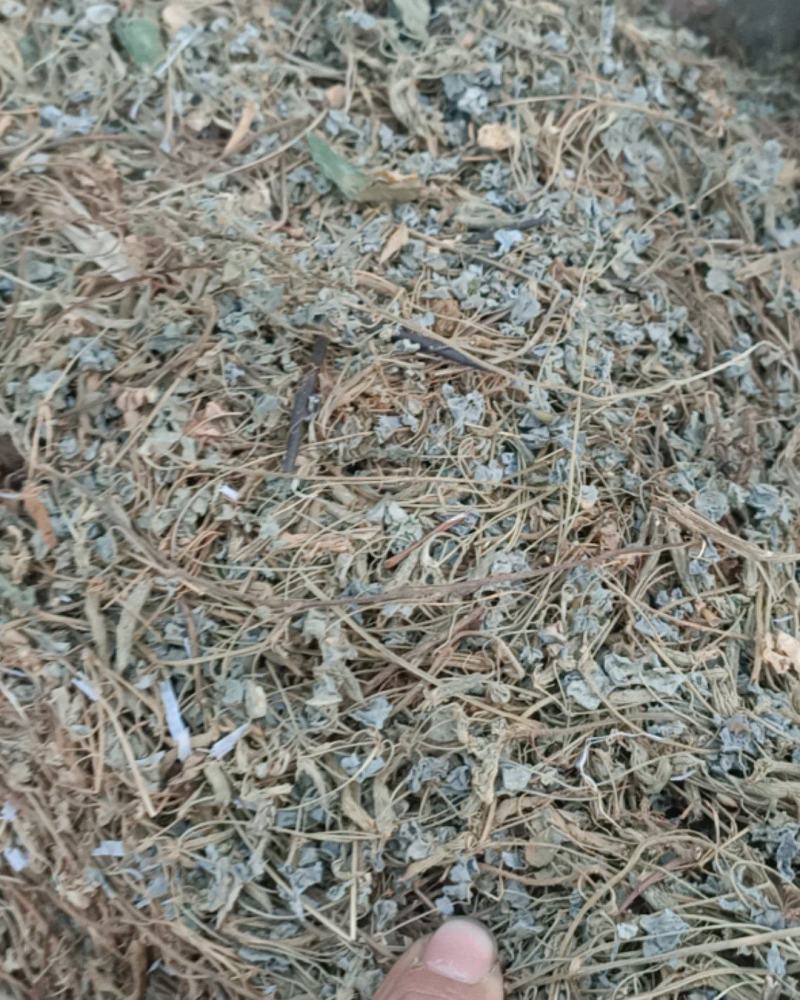 酸咪咪