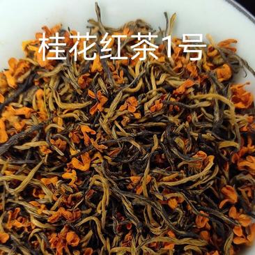 红茶（金骏眉小种桂花红）一手货源买贵包退茶厂直供