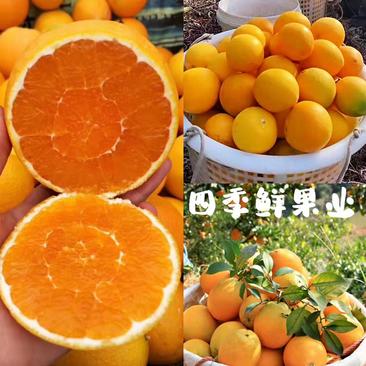 伦晚脐橙广柑个大皮薄汁多品种齐全大型平台更优惠