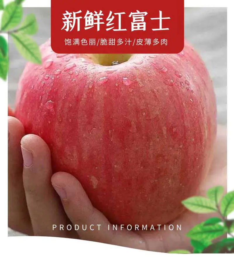 山东红富士苹果🍎大量上市，口感脆甜，品质保障，欢迎采购~