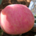 山东红富士苹果🍎大量上市，口感脆甜，品质保障，欢迎采购~