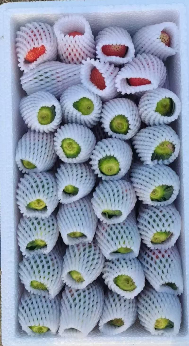 【精品】奶油草莓专业代发电商商超品控严格好评率高!