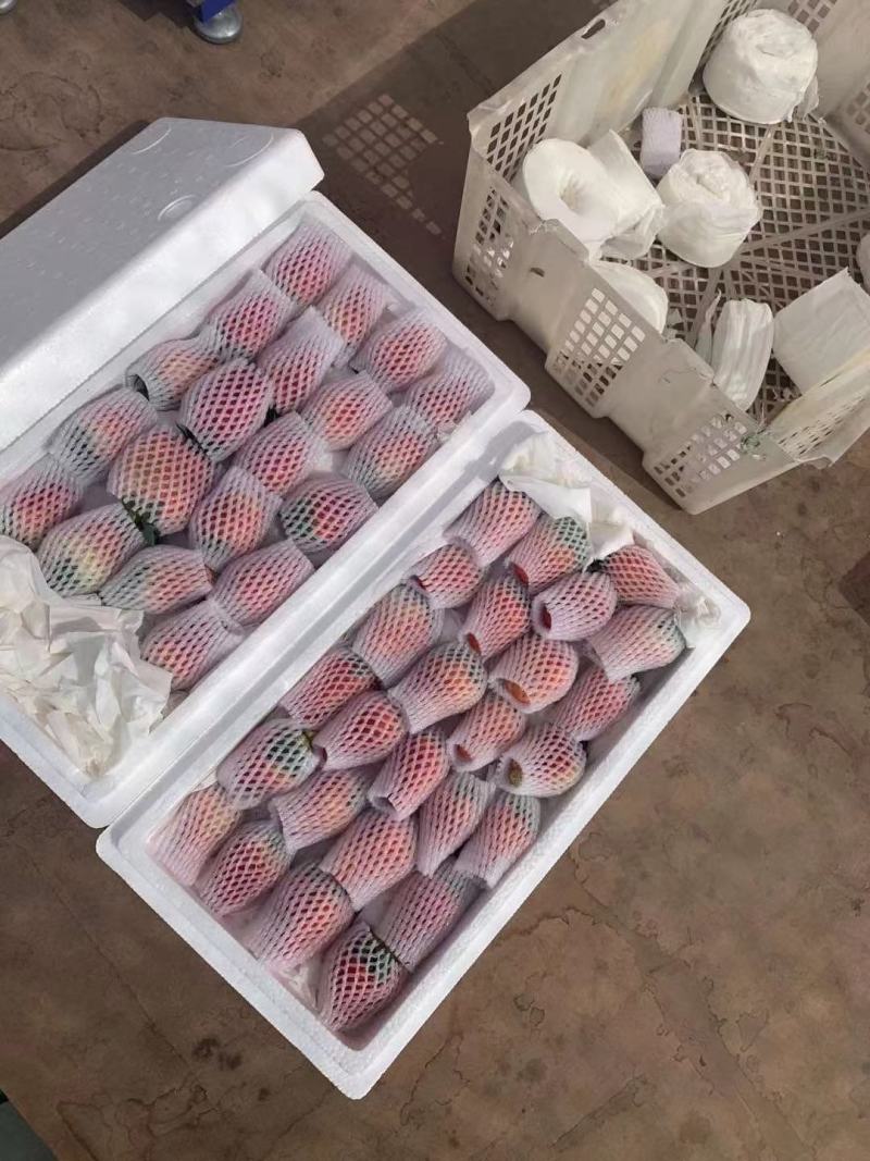 【精品】奶油草莓专业代发电商商超品控严格好评率高!