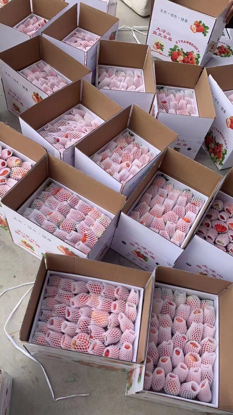 【精品】奶油草莓专业代发电商商超品控严格好评率高!