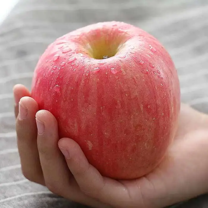 山东红富士苹果🍎上市，口感脆甜，品质保障，欢迎新老客户采购