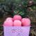 山东红富士苹果🍎上市，口感脆甜，品质保障，欢迎新老客户采购