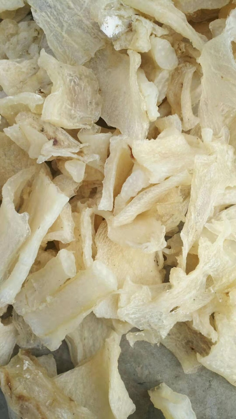 鱼脑又称软骨，需要联系我