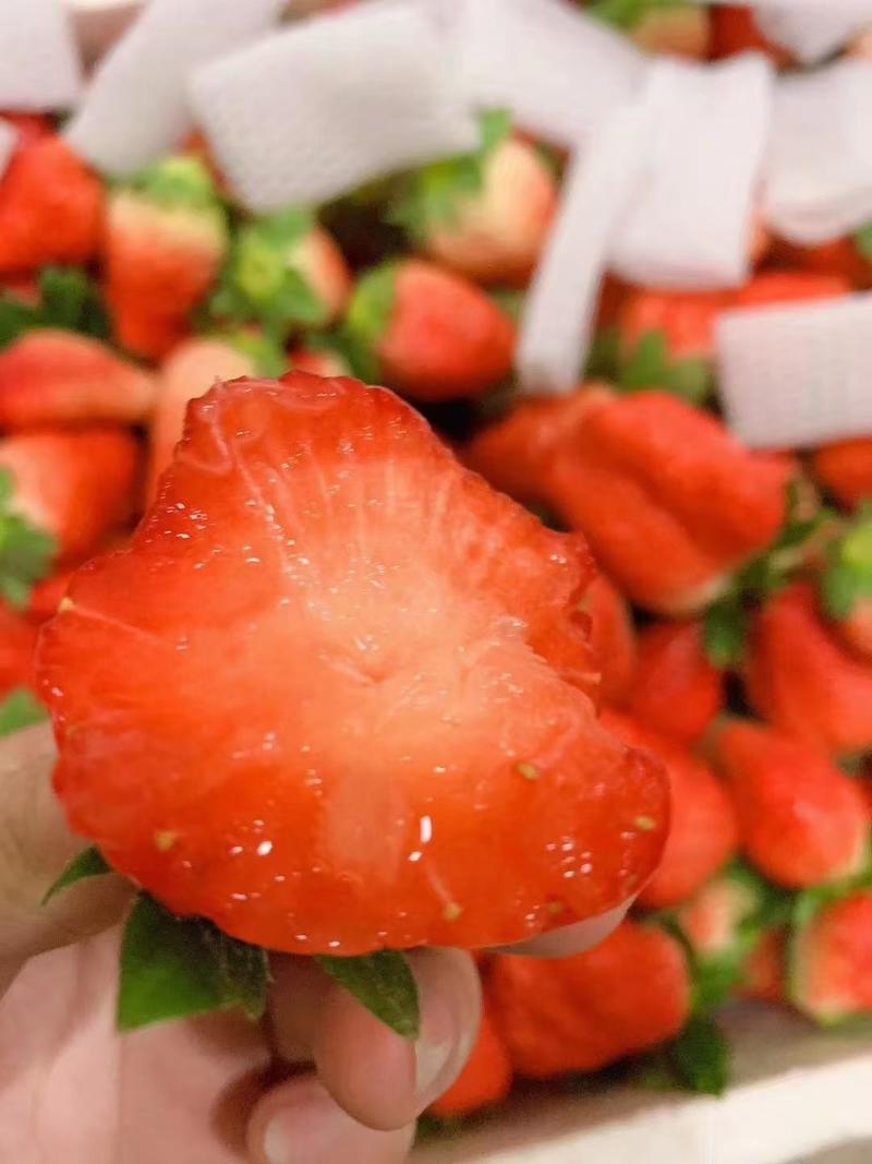 四川奶油草莓代发电商商品控严格好评率高