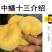 中蟠13蟠桃树苗嫁接桃树苗蟠桃苗黄金蟠桃苗