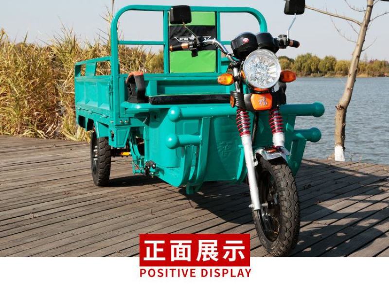 电动三轮车载重王货车成人拉货三轮车快递车家用农用电瓶车