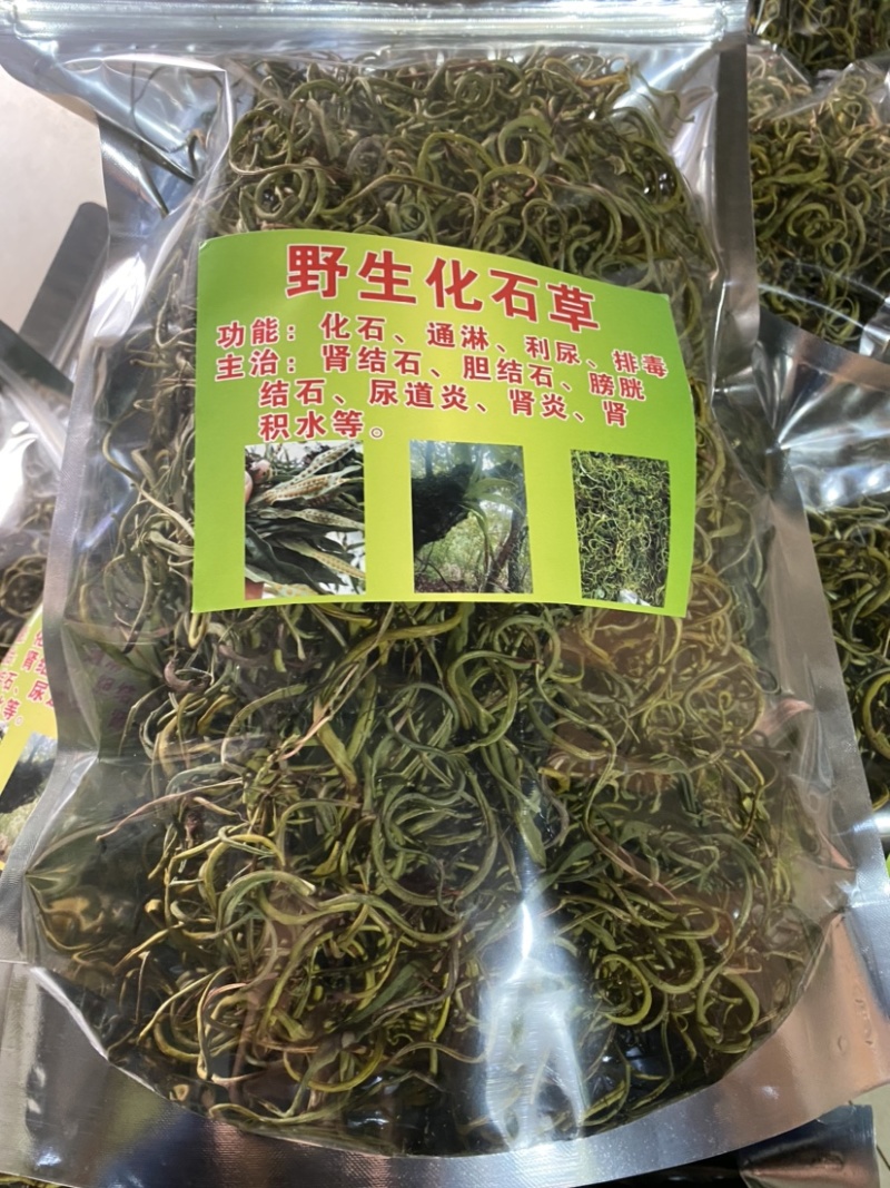 化石草