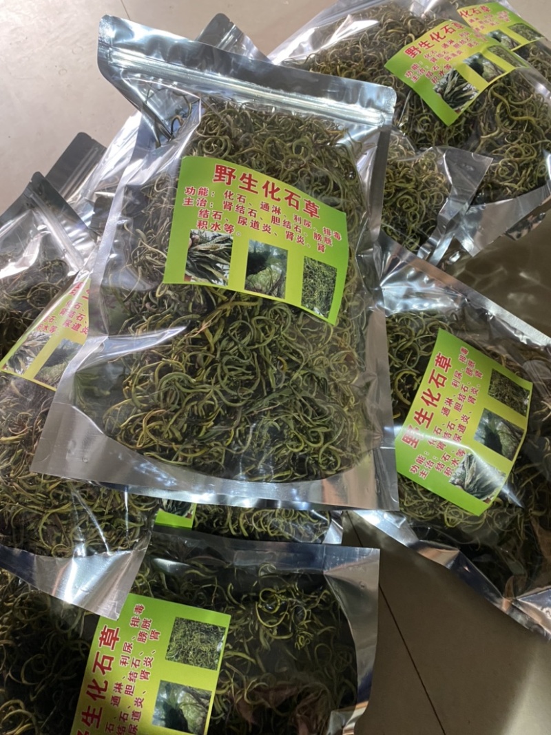 化石草