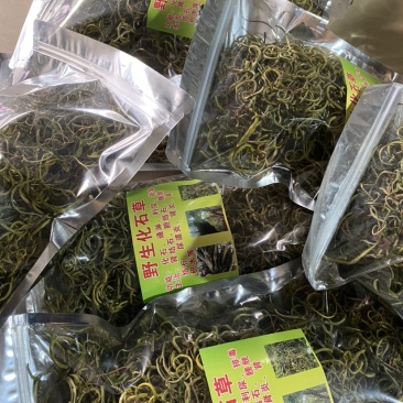 化石草