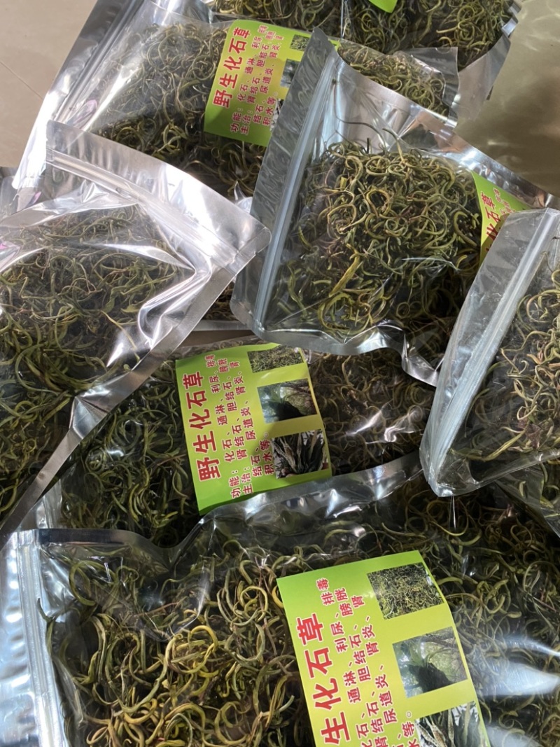 化石草