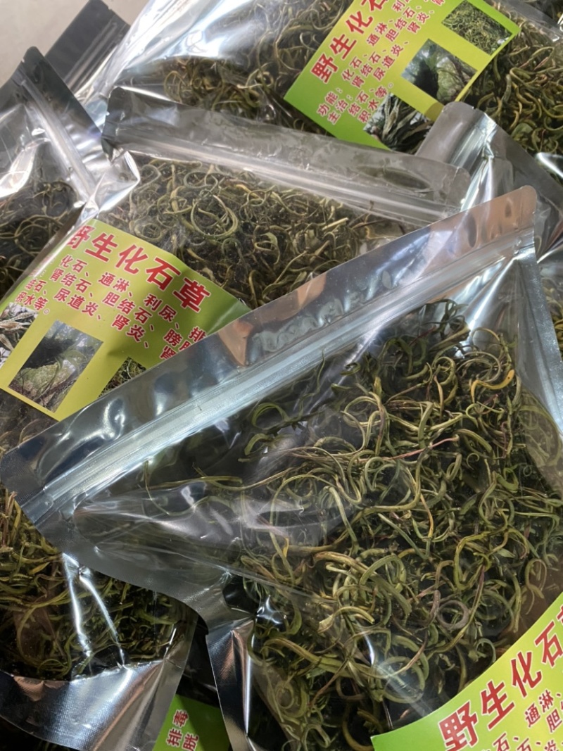 化石草