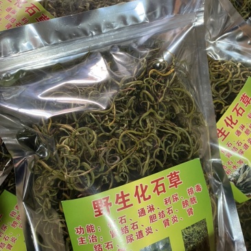 化石草