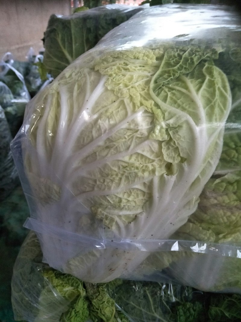 娃娃菜，个头匀称叶绿心黄，新鲜