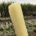 4斤陶山甘蔗青皮绿皮甘蔗孕妇新鲜水果陶山果蔗现砍现发
