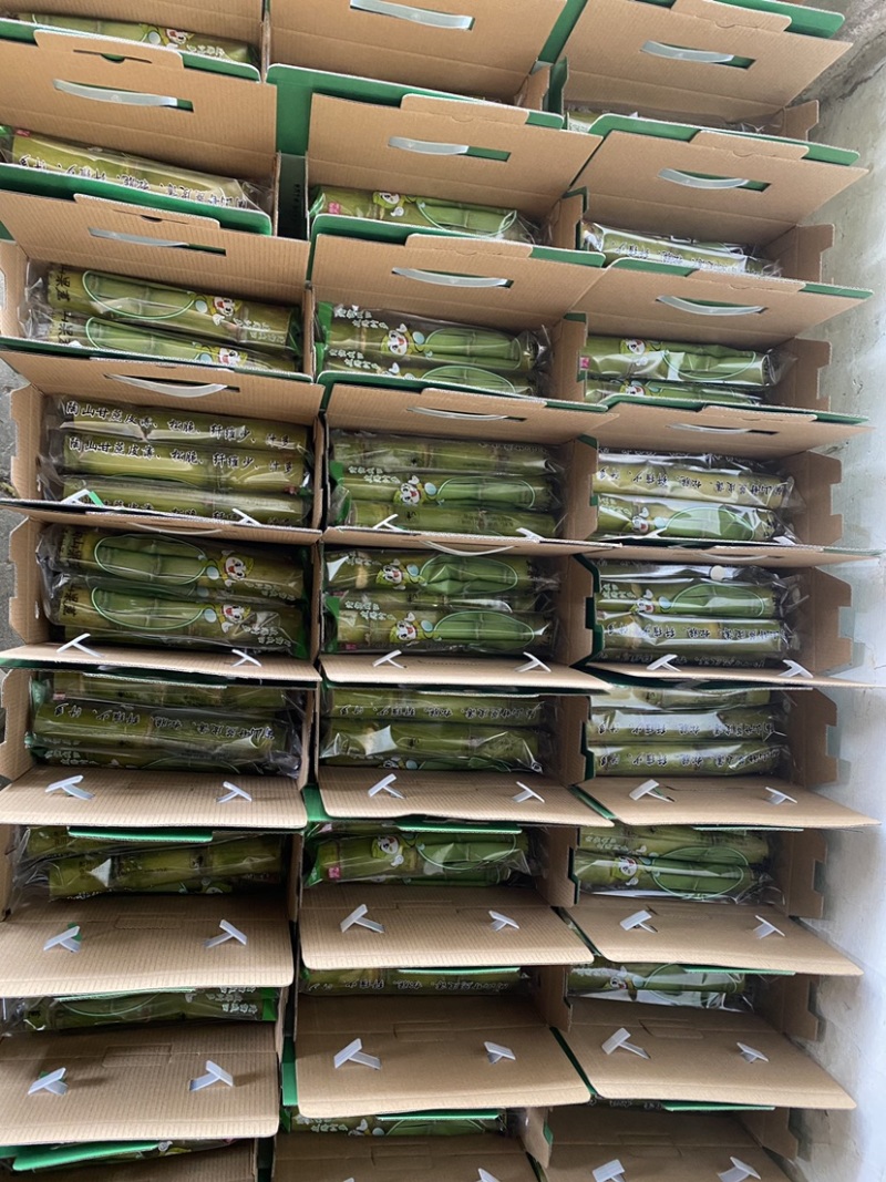4斤陶山甘蔗青皮绿皮甘蔗孕妇新鲜水果陶山果蔗现砍现发