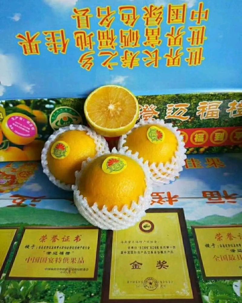 正宗澄迈富硒福橙果粒饱满皮薄多汁味美甘甜果地直发